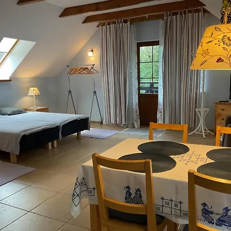 Apartmán Leniuchy Leśna