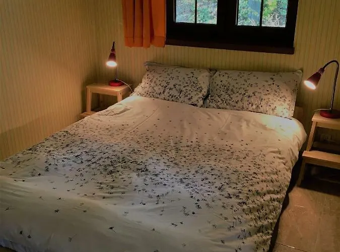 Leniuchy Apartmán Leśna